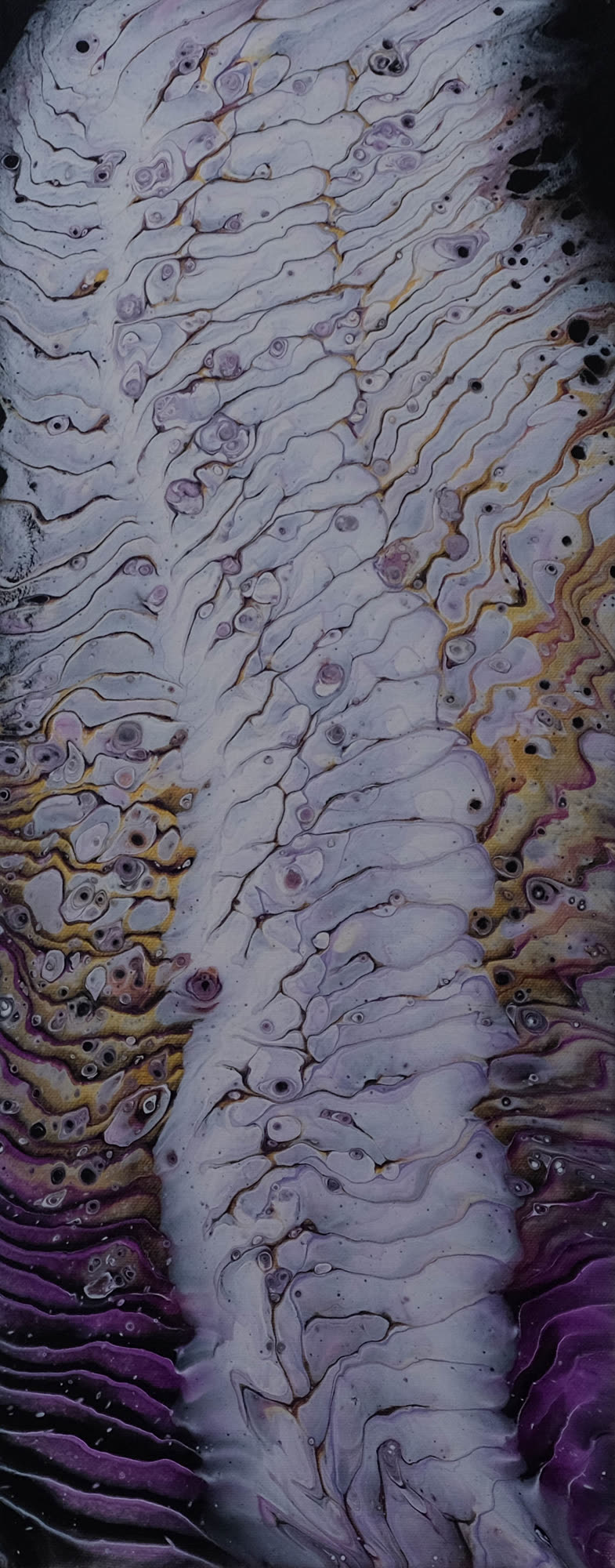 Backbone