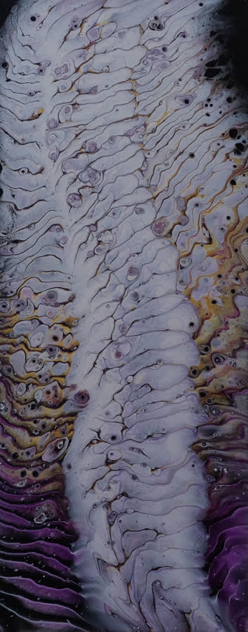 Backbone